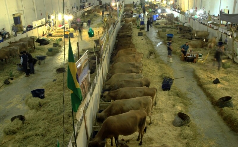 Fórum Permanente do Agronegócio Catarinense será instalado nesta quarta-feira