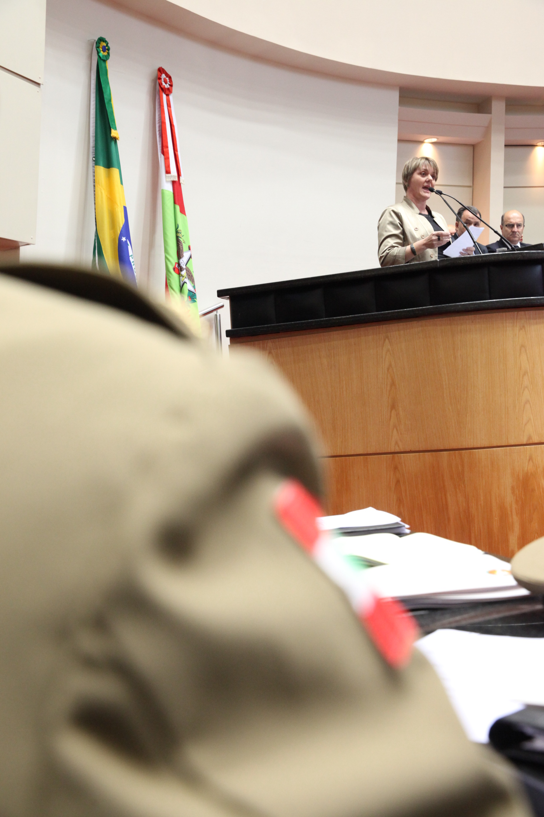 Audiência Pública Comisão de Finanças. Foto: Fábio Queiroz / Agência AL
