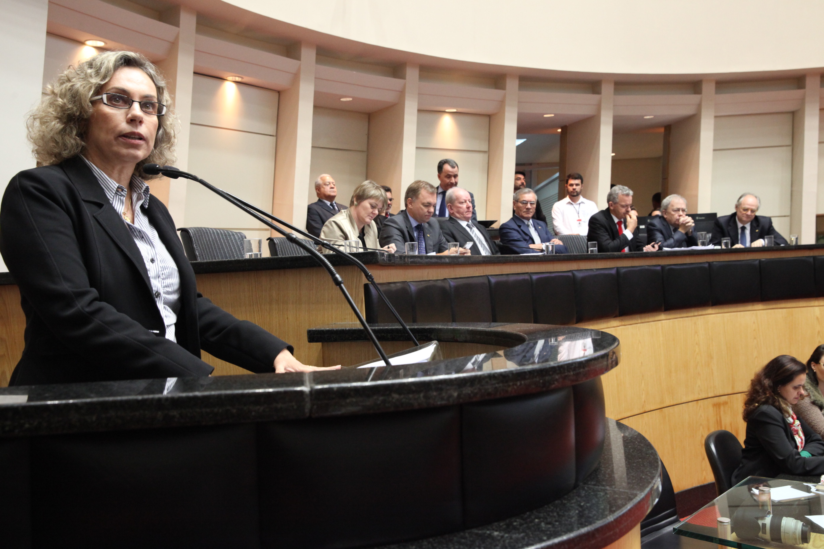 Audiência Pública Comisão de Finanças. Deputada Ana Paula Lima (PT). Foto: Fábio Queiroz / Agência AL