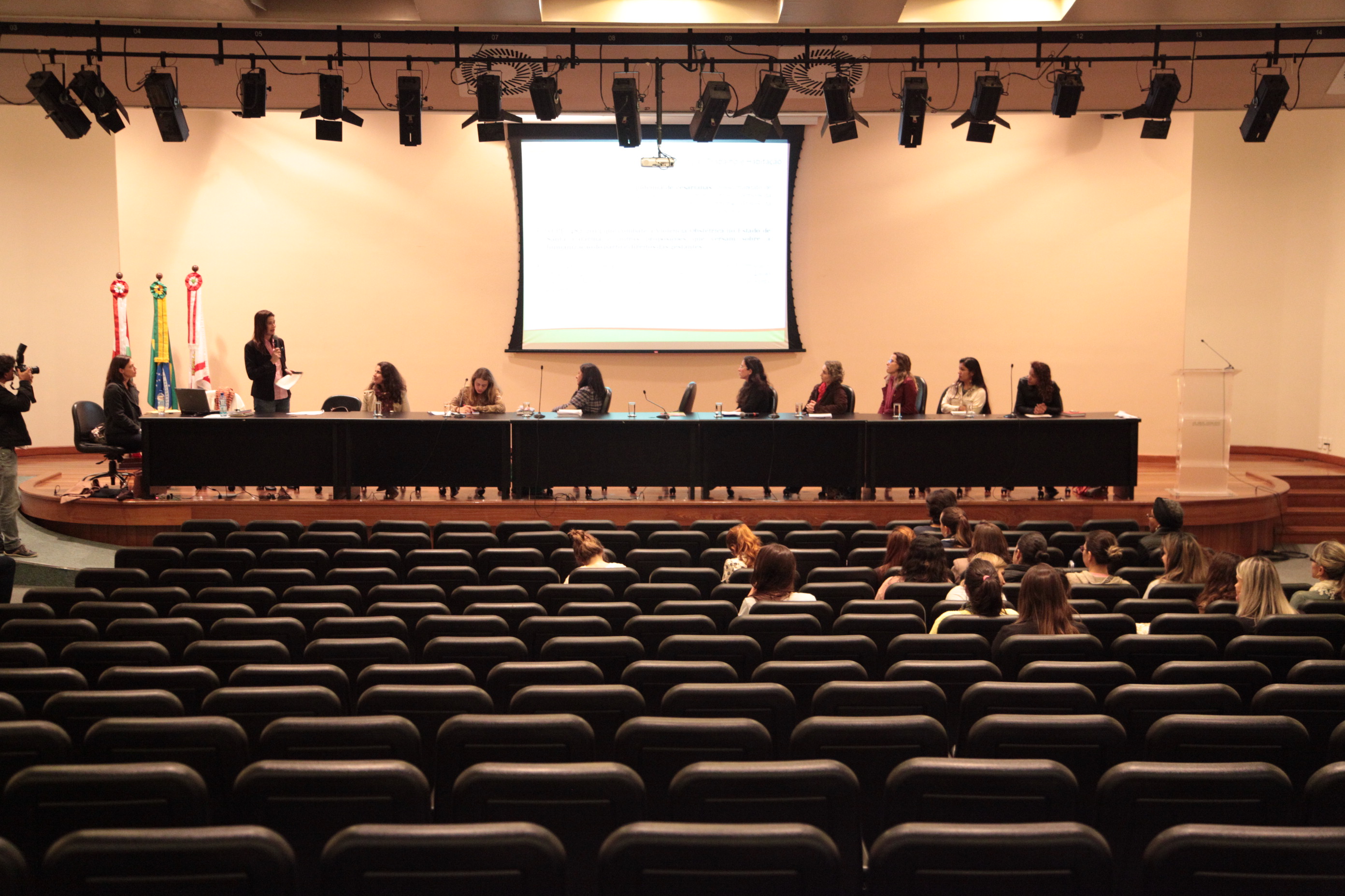Comissão de Saúde -  Conferência sobre Violência Obstétrica