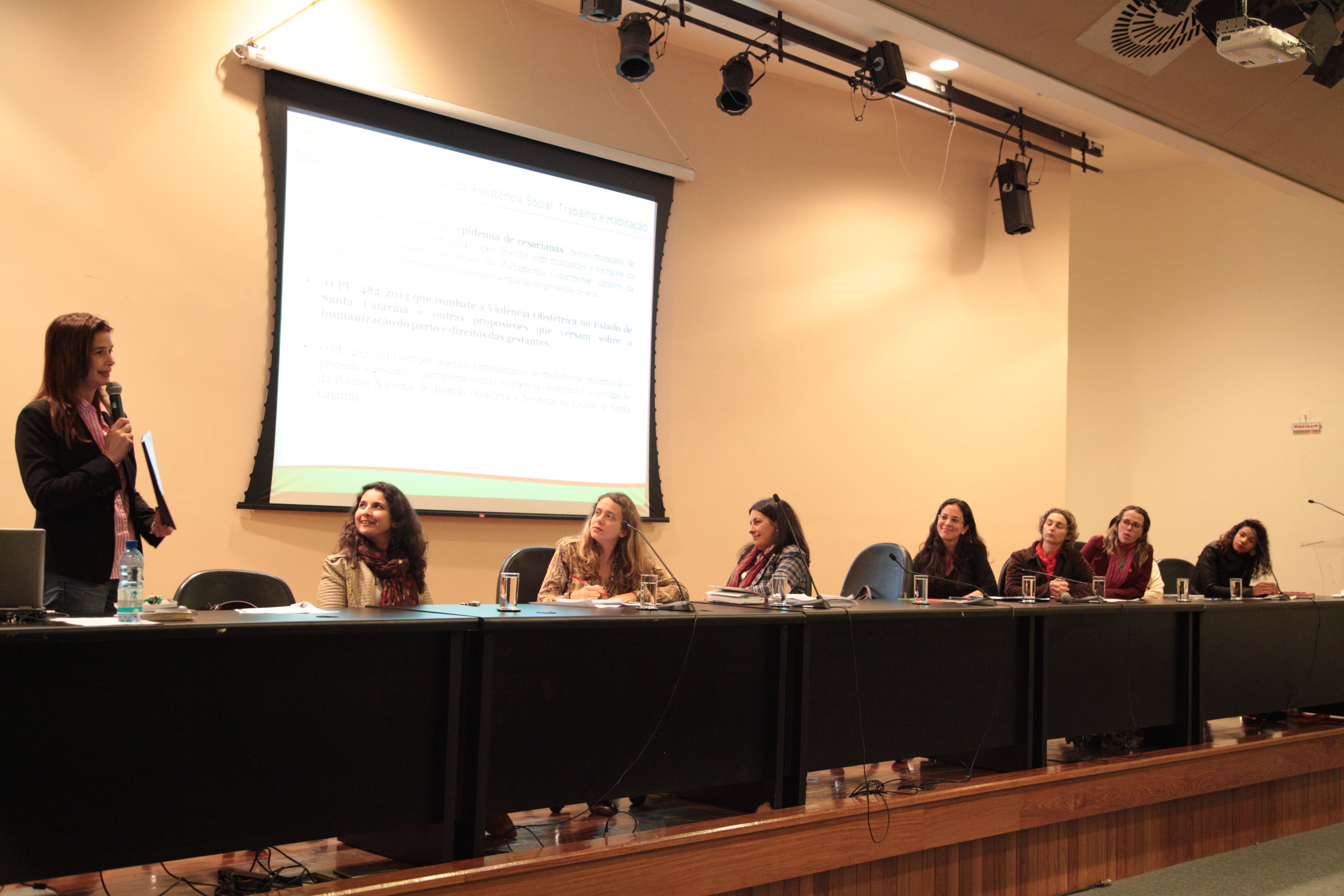Comissão de Saúde -  Conferência sobre Violência Obstétrica