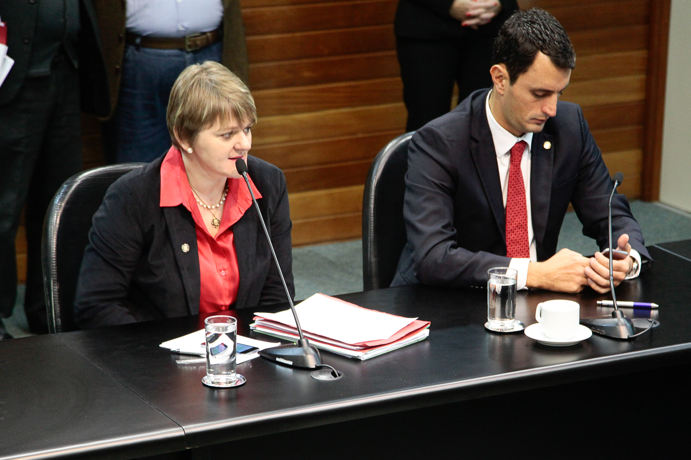 Reunião da Comissão de Constituição e Justiça. Foto: Miriam Zomer/Agência AL
