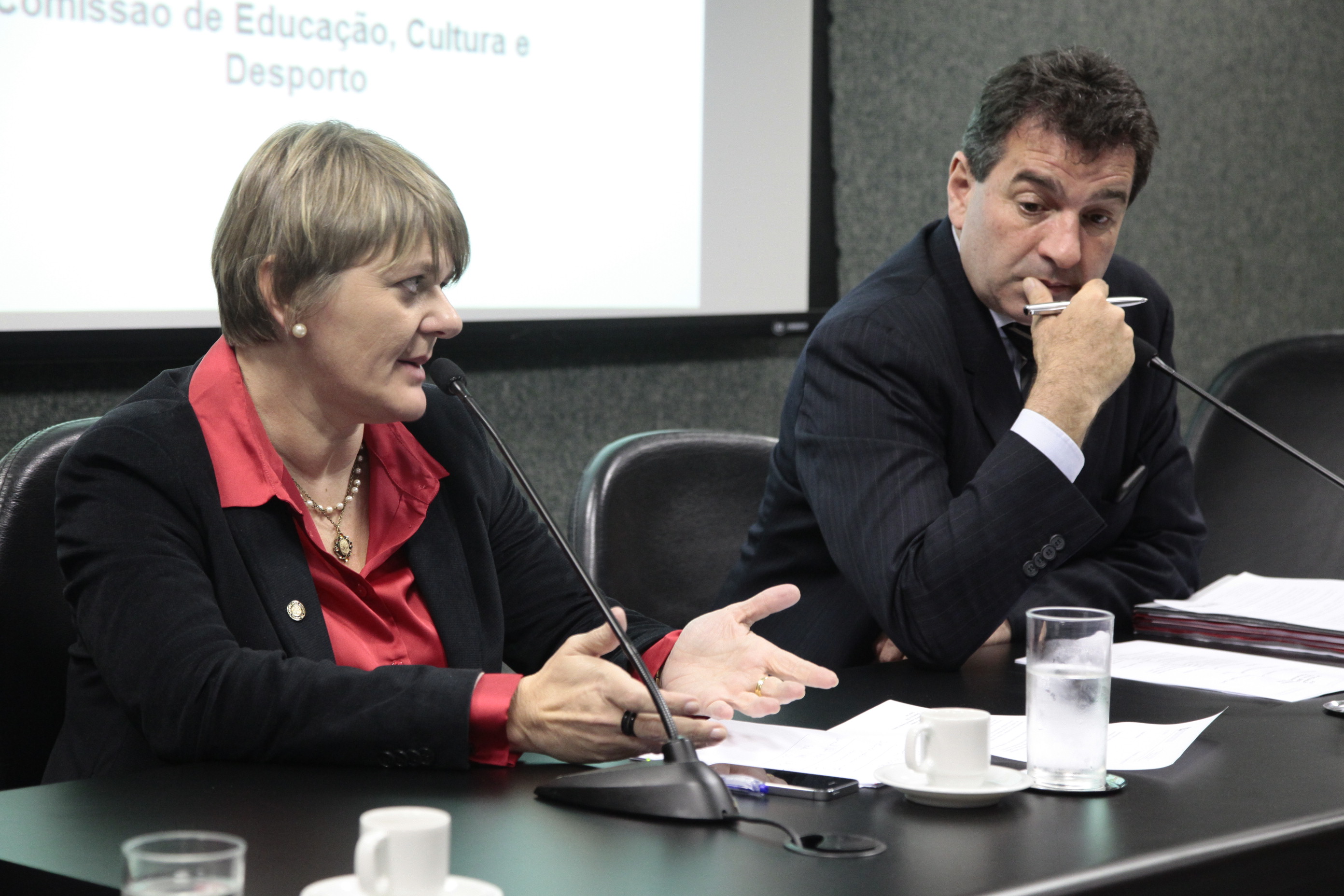 Reunião da Comissão de Educação, Cultura e Desporto. Foto: Miriam Zomer/Agência AL