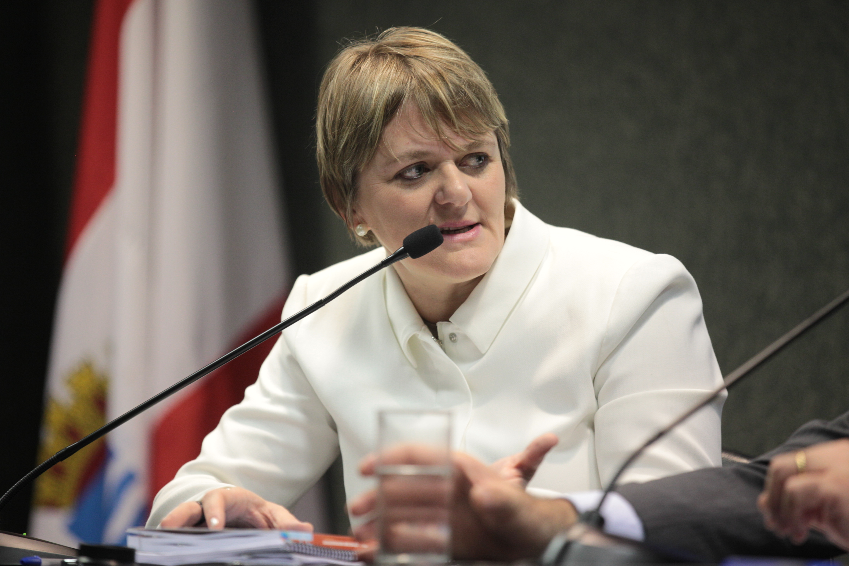 Comissão de Educação - Plano Estadual de Educação - Deputada Luciane Carminatti (PT)