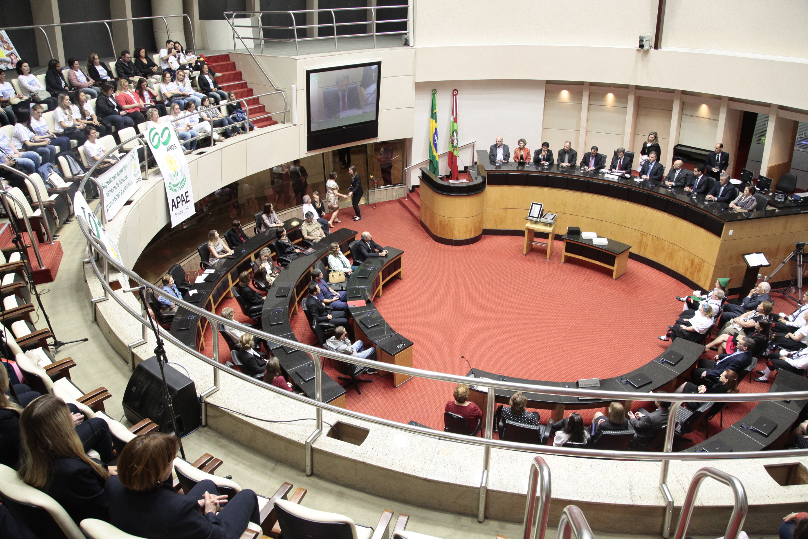 Sessão Especial em comemoração aos 60 anos da APAE de Brusque e 50 anos das APAEs de Joinville, Blumenau e Lages. Foto: Miriam Zomer/Agência AL