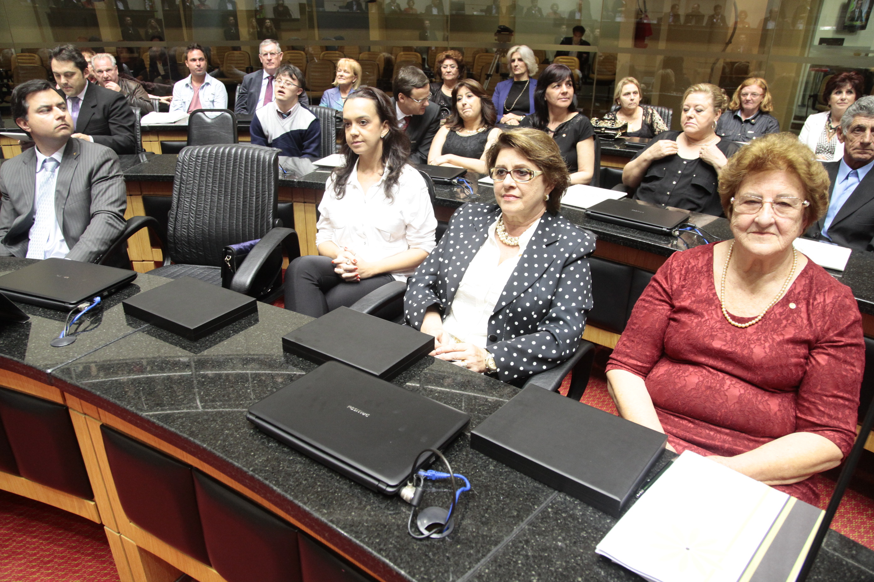 Sessão Especial em comemoração aos 60 anos da APAE de Brusque e 50 anos das APAEs de Joinville, Blumenau e Lages. Foto: Miriam Zomer/Agência AL
