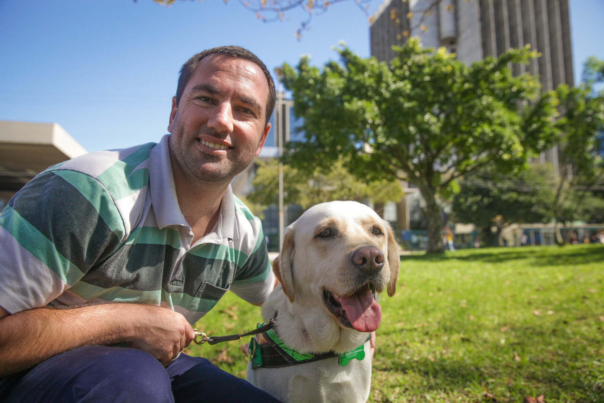 Reportagens especiais abordam Alesc Inclusiva e formação de cães-guia