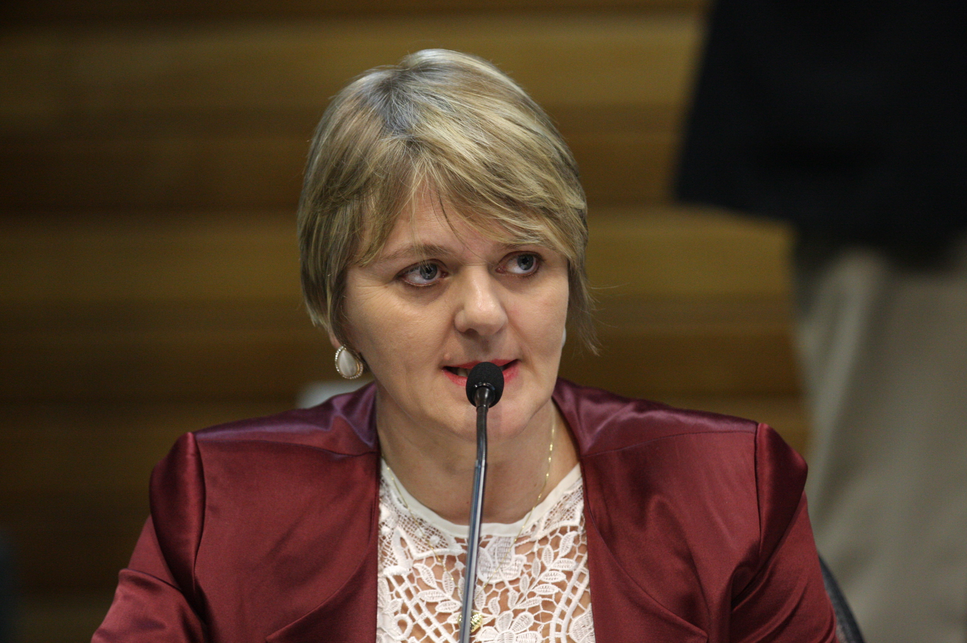 Comissão de Constituição e Justiça. Deputada: Luciane Carminatti (PT). Foto: Yuri Santos / Agência AL