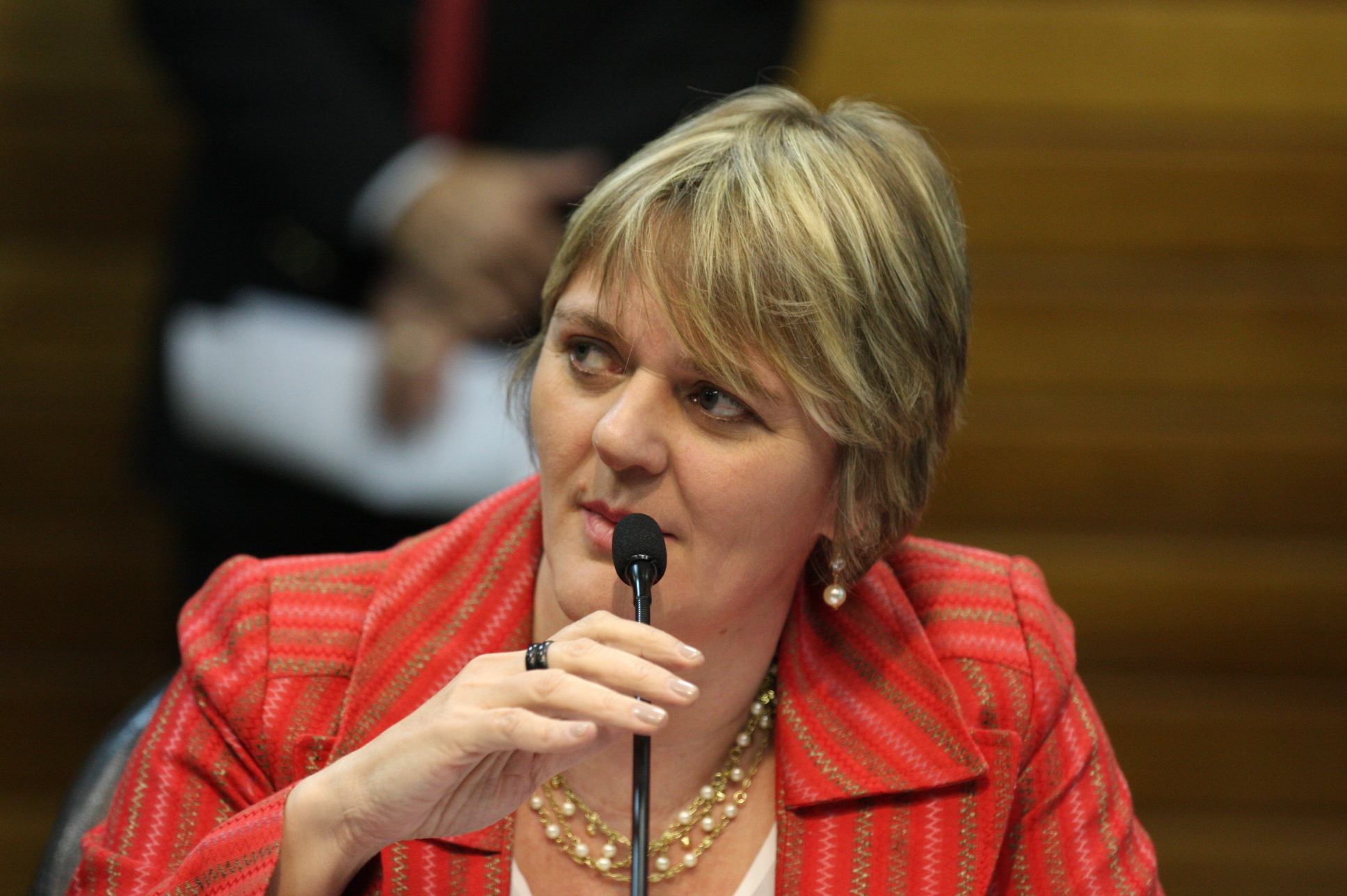 Comissão de Constituição e Justiça. Deputada: Luciane Carminatti (PT). Foto: Yuri Santos / Agência AL