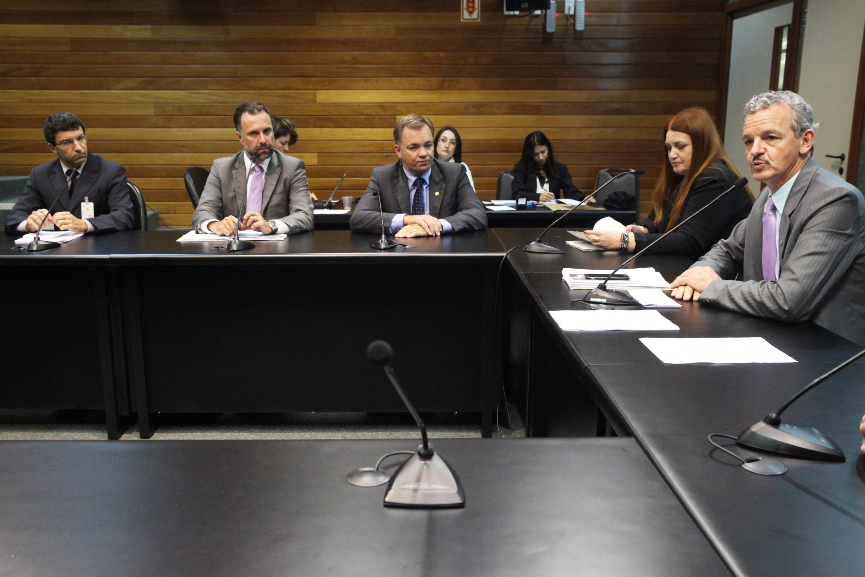 Audiência Pública – Estatuto Microemprensa