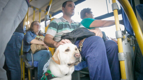 O surgimento da dupla Jackson e Kalil