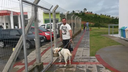 Como funciona o treinamento de cães-guia no IFC