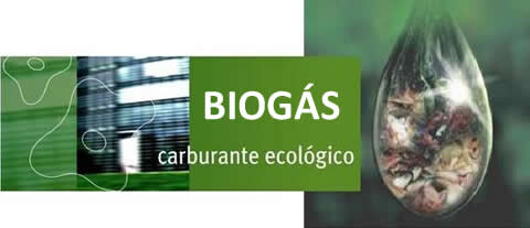 Cidade Inteligente: biogás, uma realidade junto à matriz energética em Santa Catarina