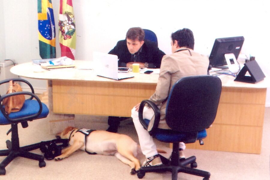 Durante o processo de socialização. Foto: Acervo Pessoal