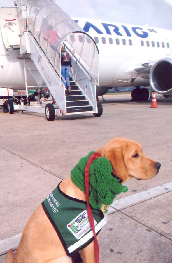 Gaya prestes a embarcar. Foto: Acervo Pessoal