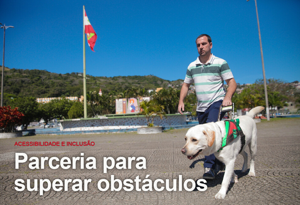 Olhos em quatro patas: cães-guias trazem segurança e independência para cegos