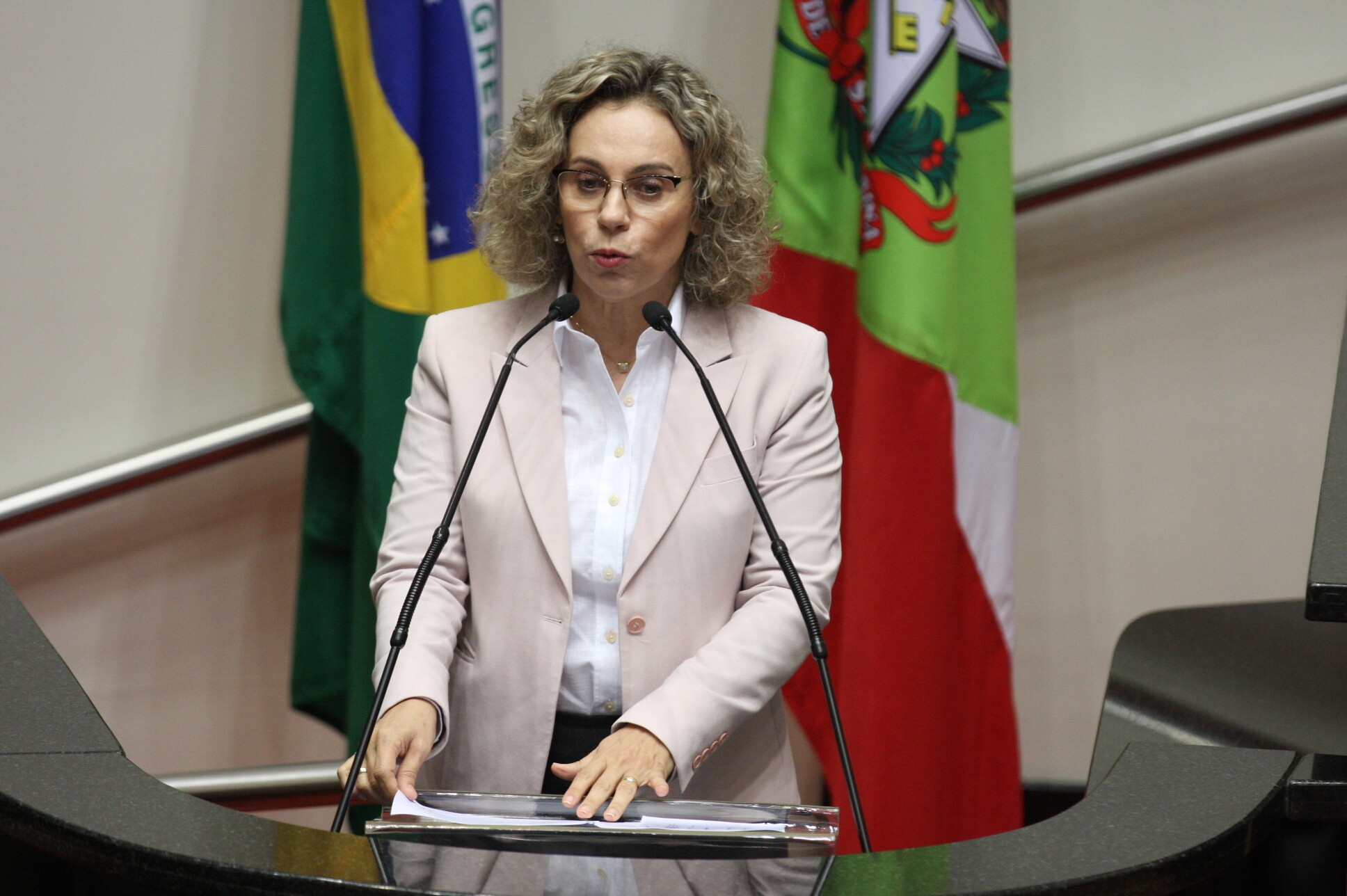 Deputada Ana Paula Lima