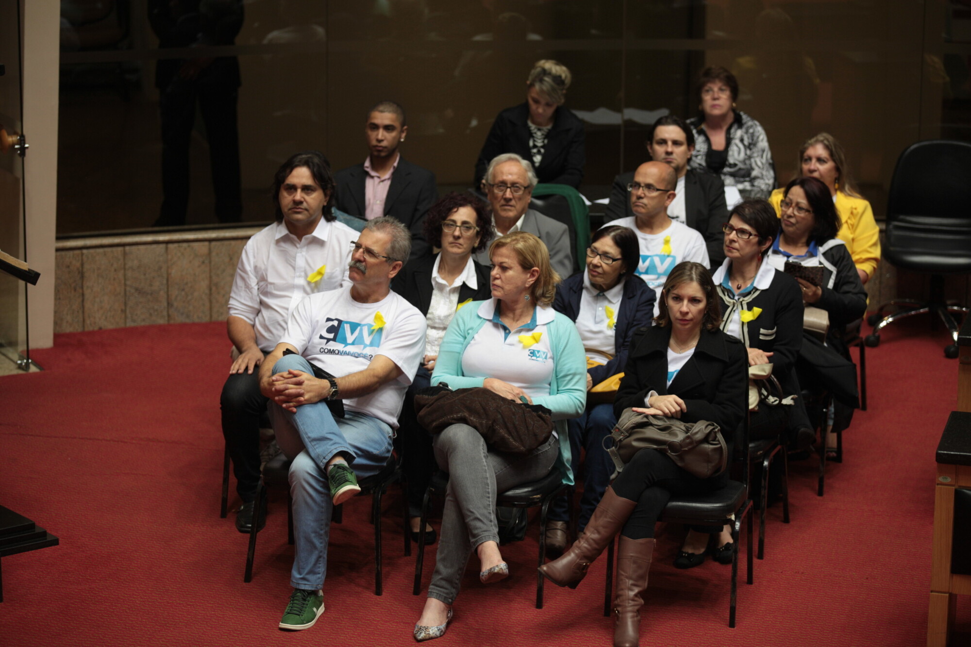Voluntários de diversas regiões do Estado prestigiaram a solenidade