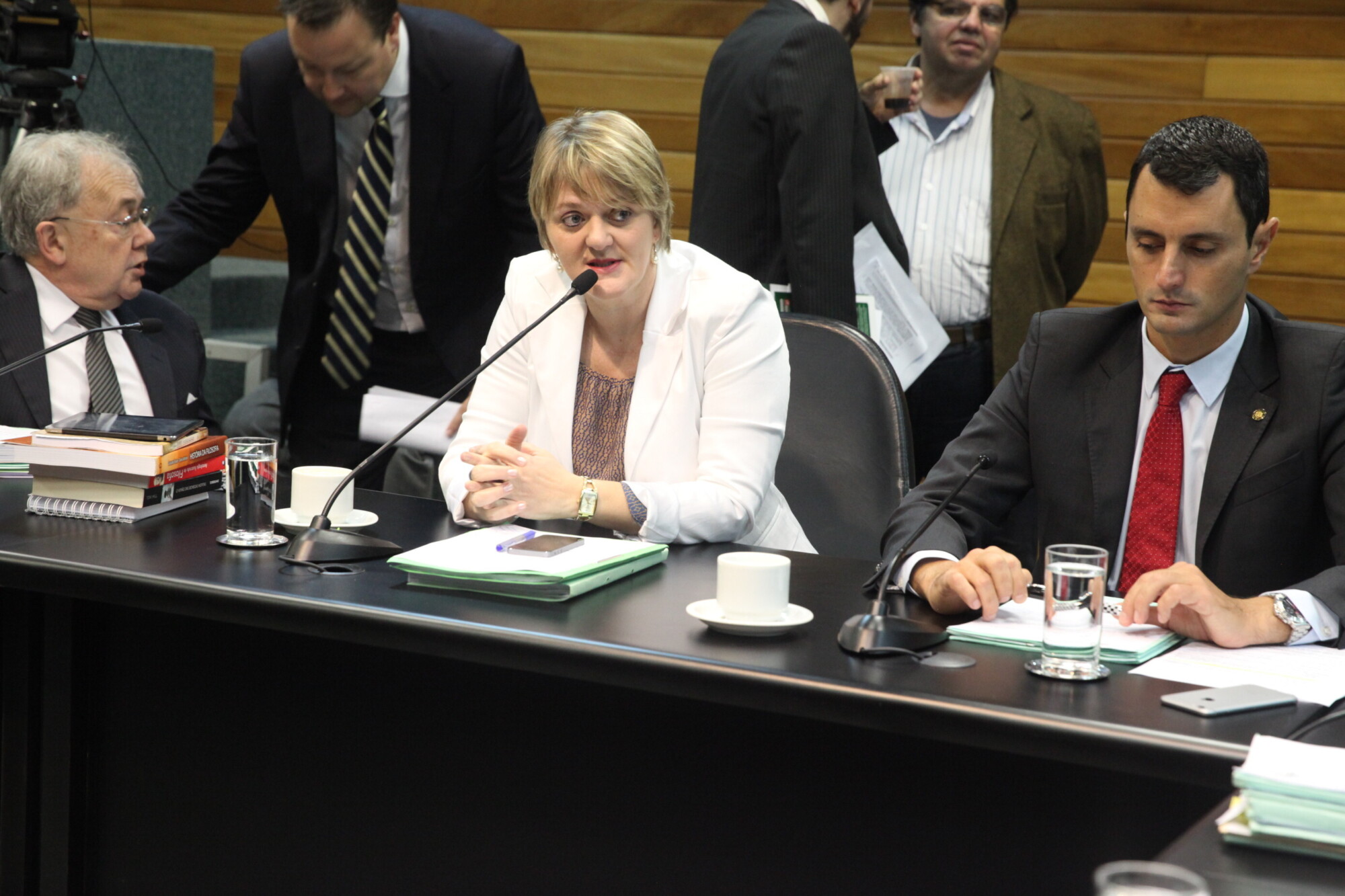 Deputada Luciane Carminatti