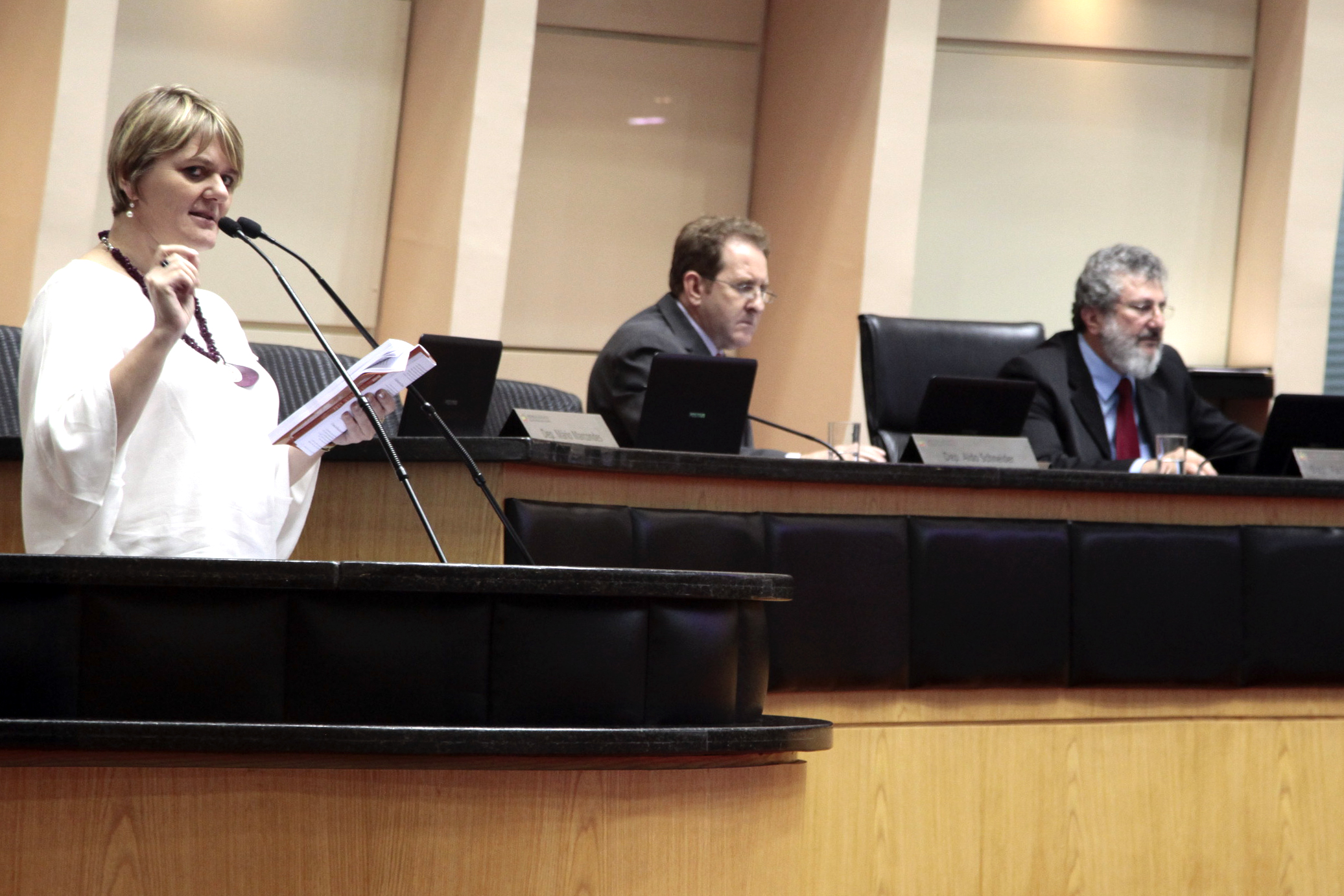 Sessão Ordinária da Assembleia Legislativa do Estado de Santa Catarina. Deputada Luciane Carminatti (PT)  - Fotos: Miriam Zomer/Agência AL