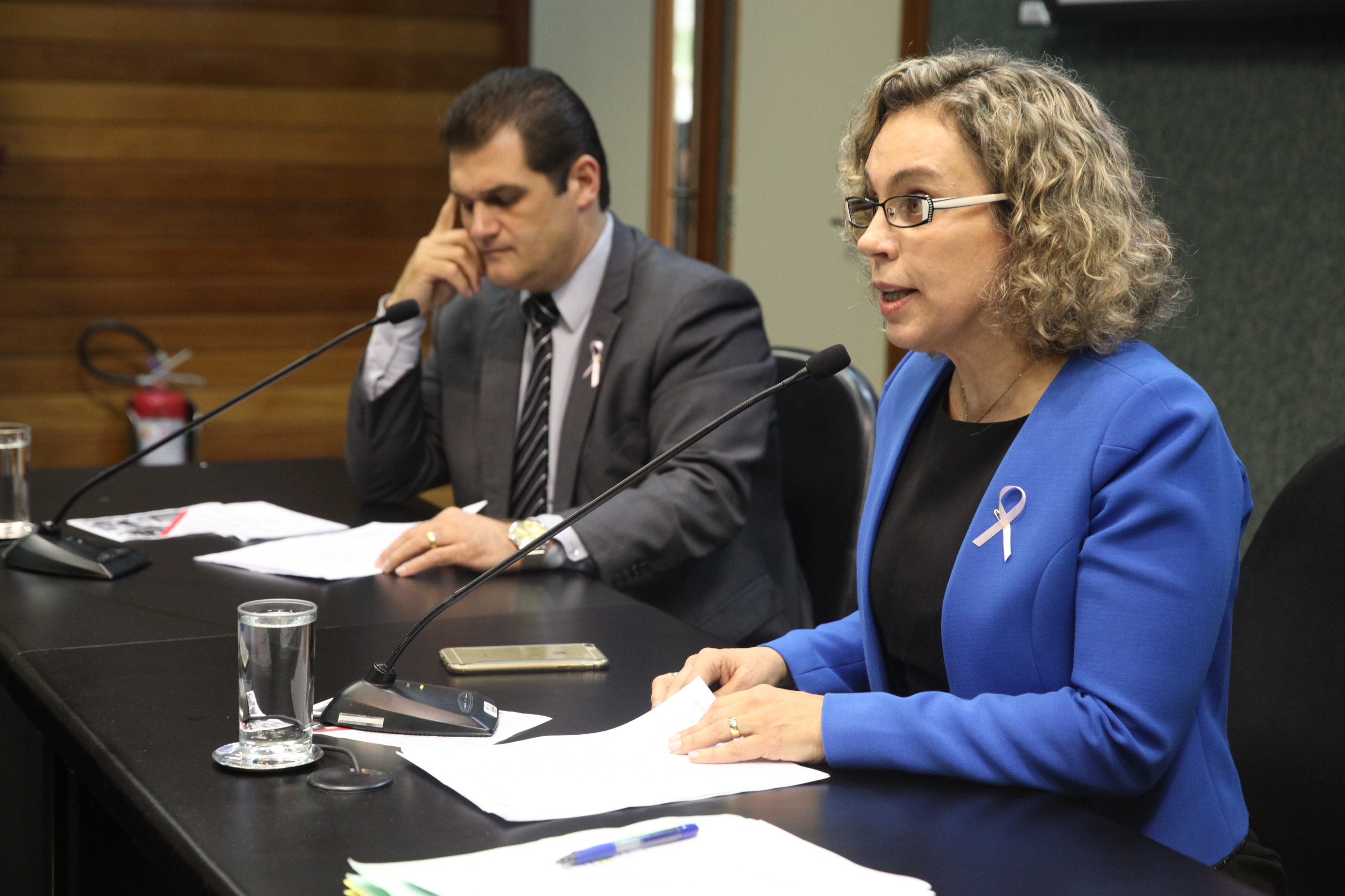 Reunião da Comissão de Saúde. Foto: Fábio Queiroz / Agência AL