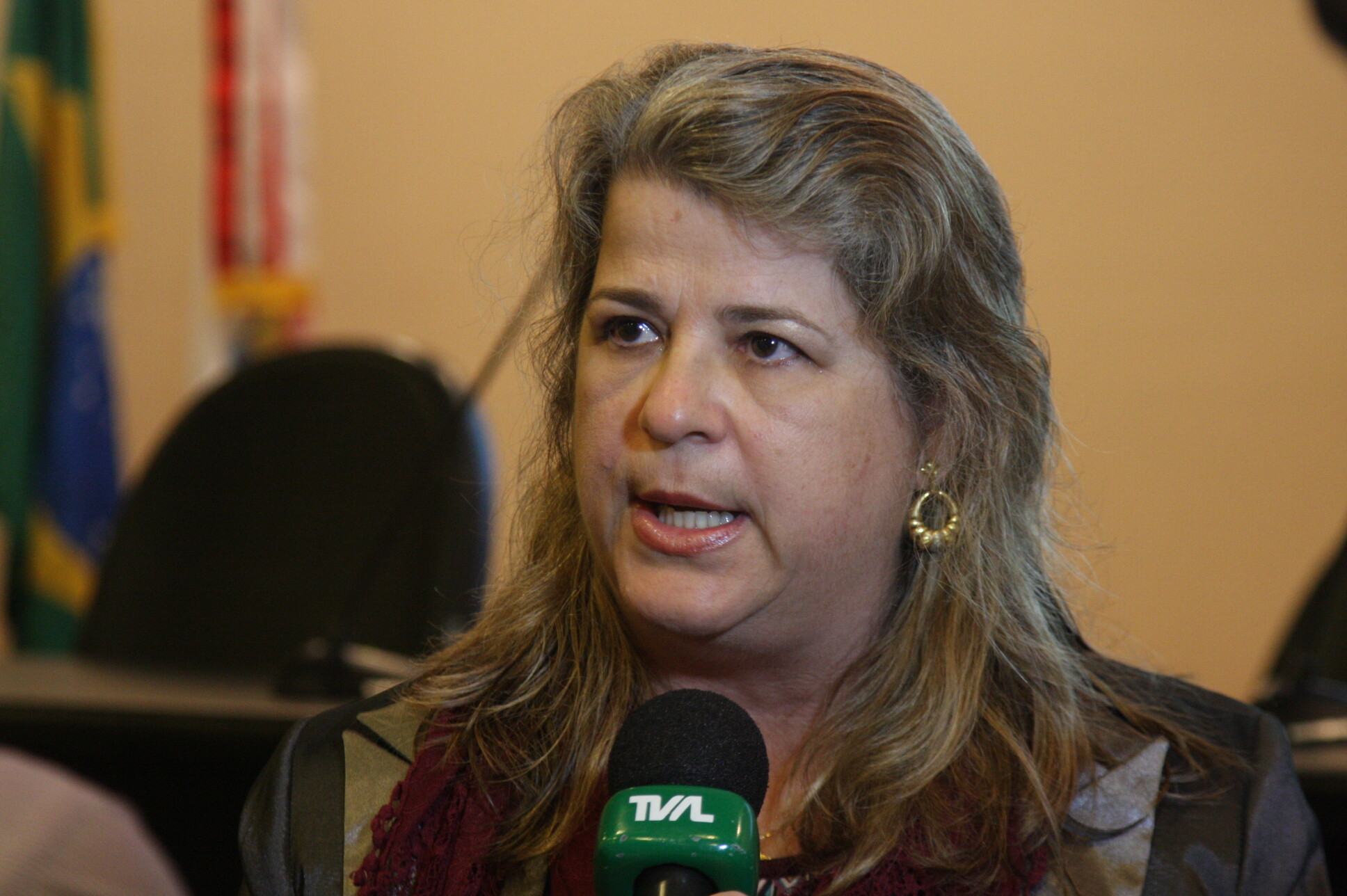 Josiane Rose Petry Veronese, coordenadora do Núcleo de Estudos Jurídicos e Sociais da Criança e do Adolescente da UFSC (Nejusca)