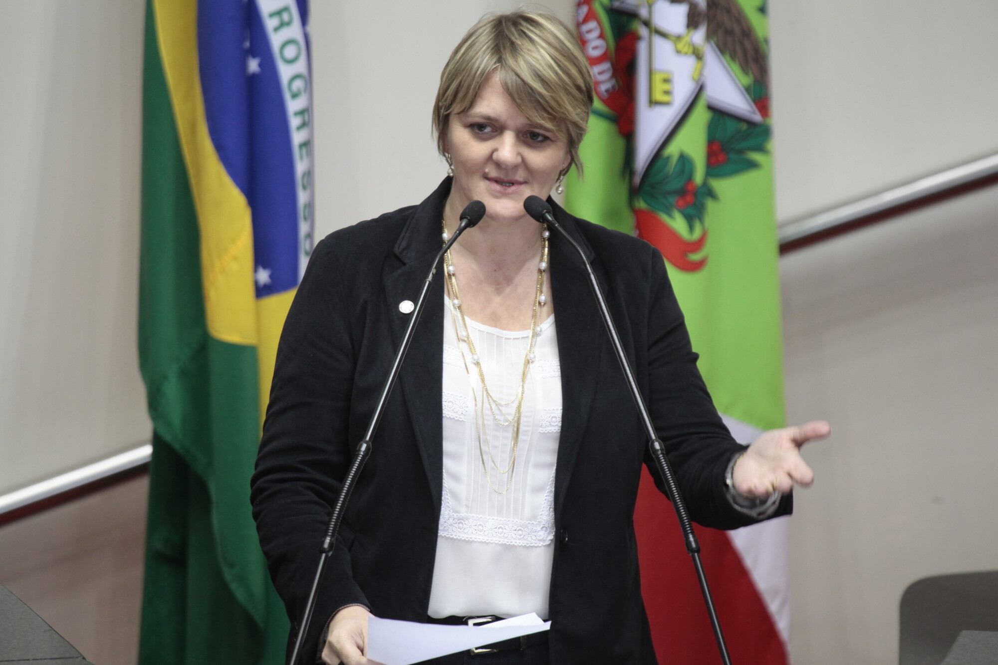 Deputada Luciane Carminatti