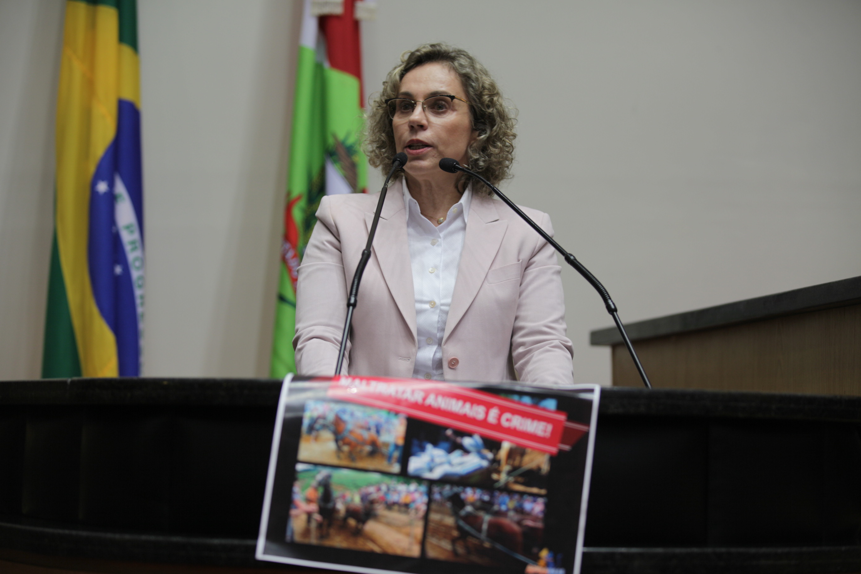 Sessão Ordinária da Assembleia Legislativa do Estado de Santa Catarina. Deputada Ana Paula Lima (PT)  - Foto: Solon Soares/Agência AL