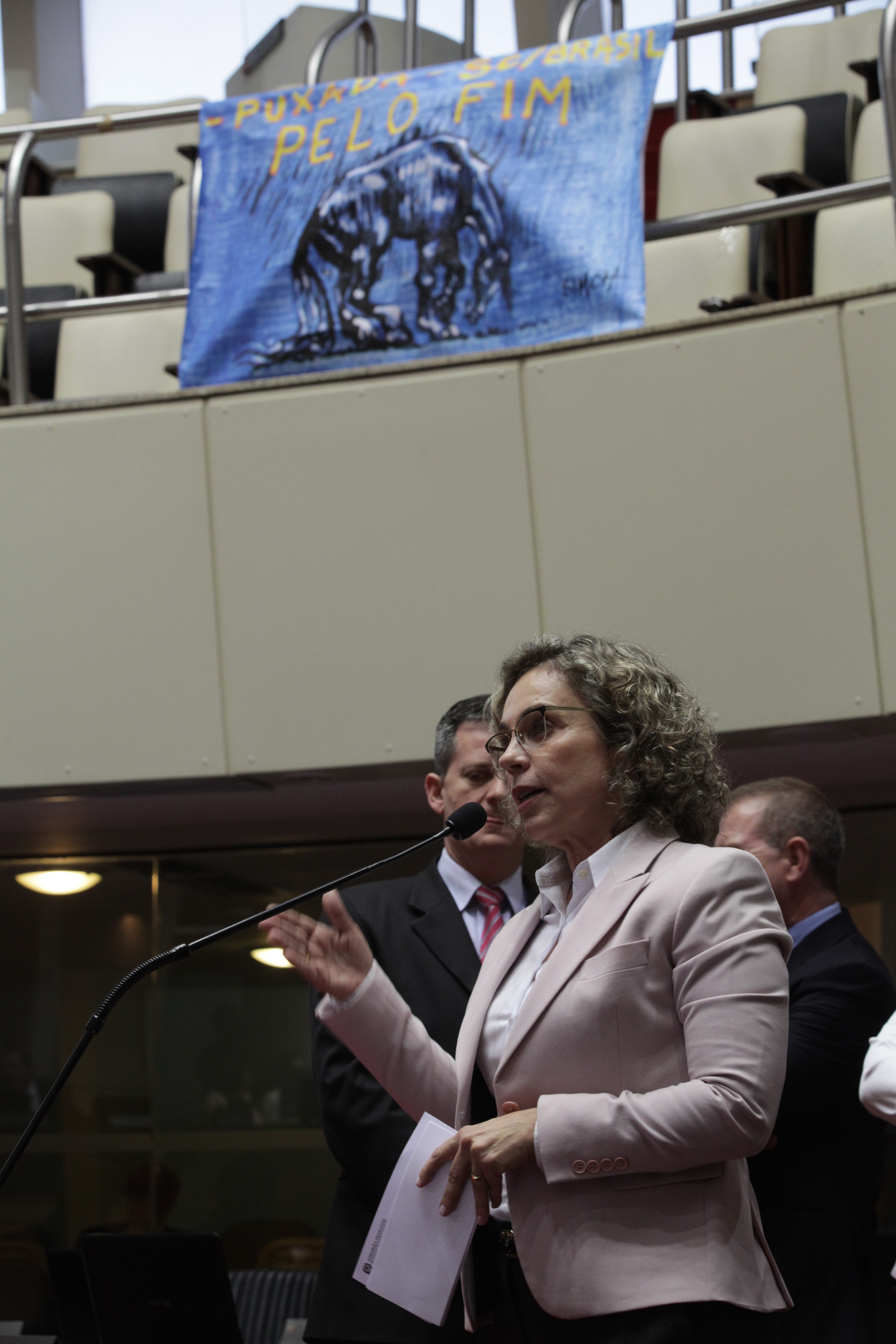 Sessão Ordinária da Assembleia Legislativa do Estado de Santa Catarina. Deputada Ana Paula Lima (PT)  - Foto: Solon Soares/Agência AL