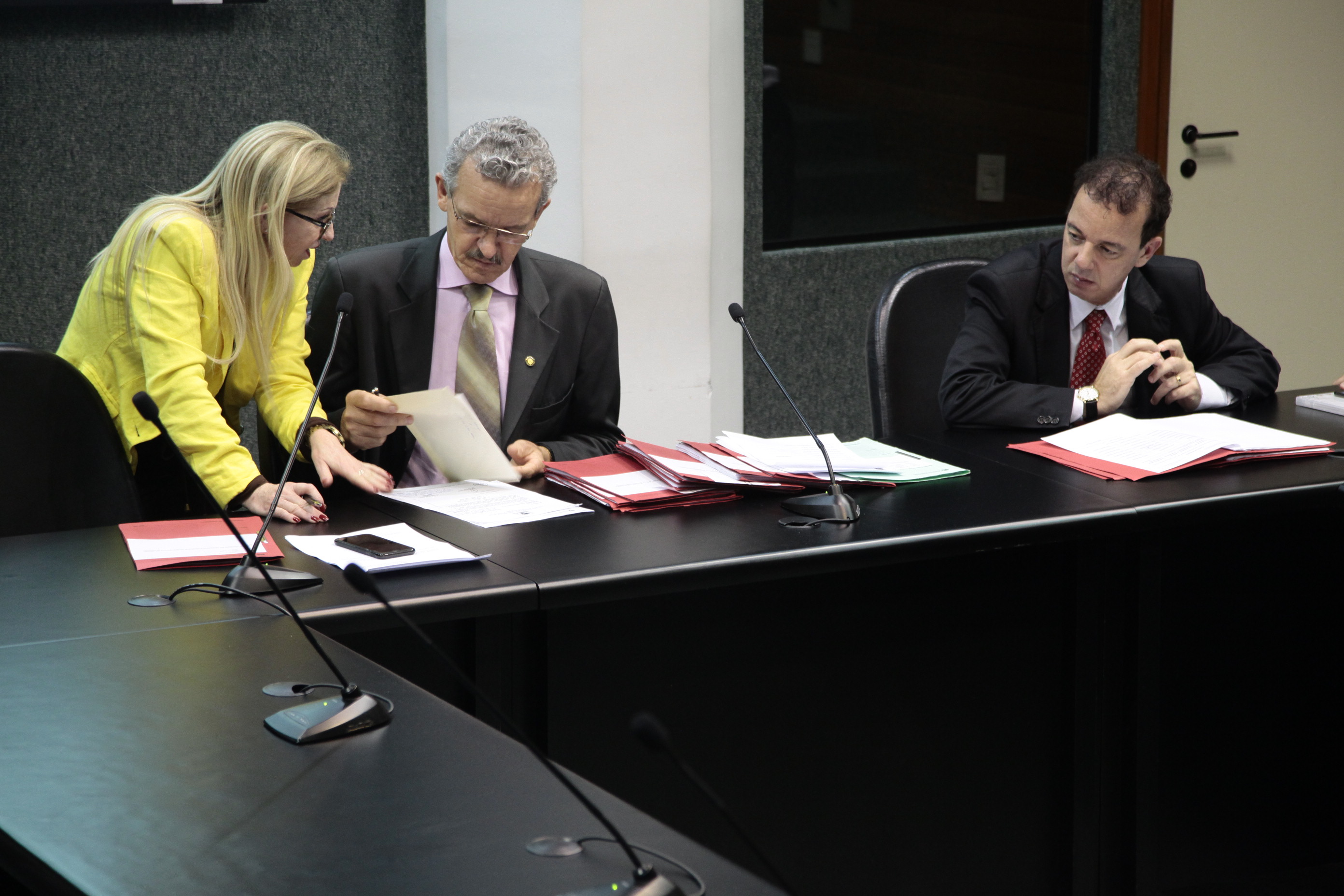 Reunião Ordinária da Comissão de Direitos Humanos. Foto: Miriam Zomer/Agência AL