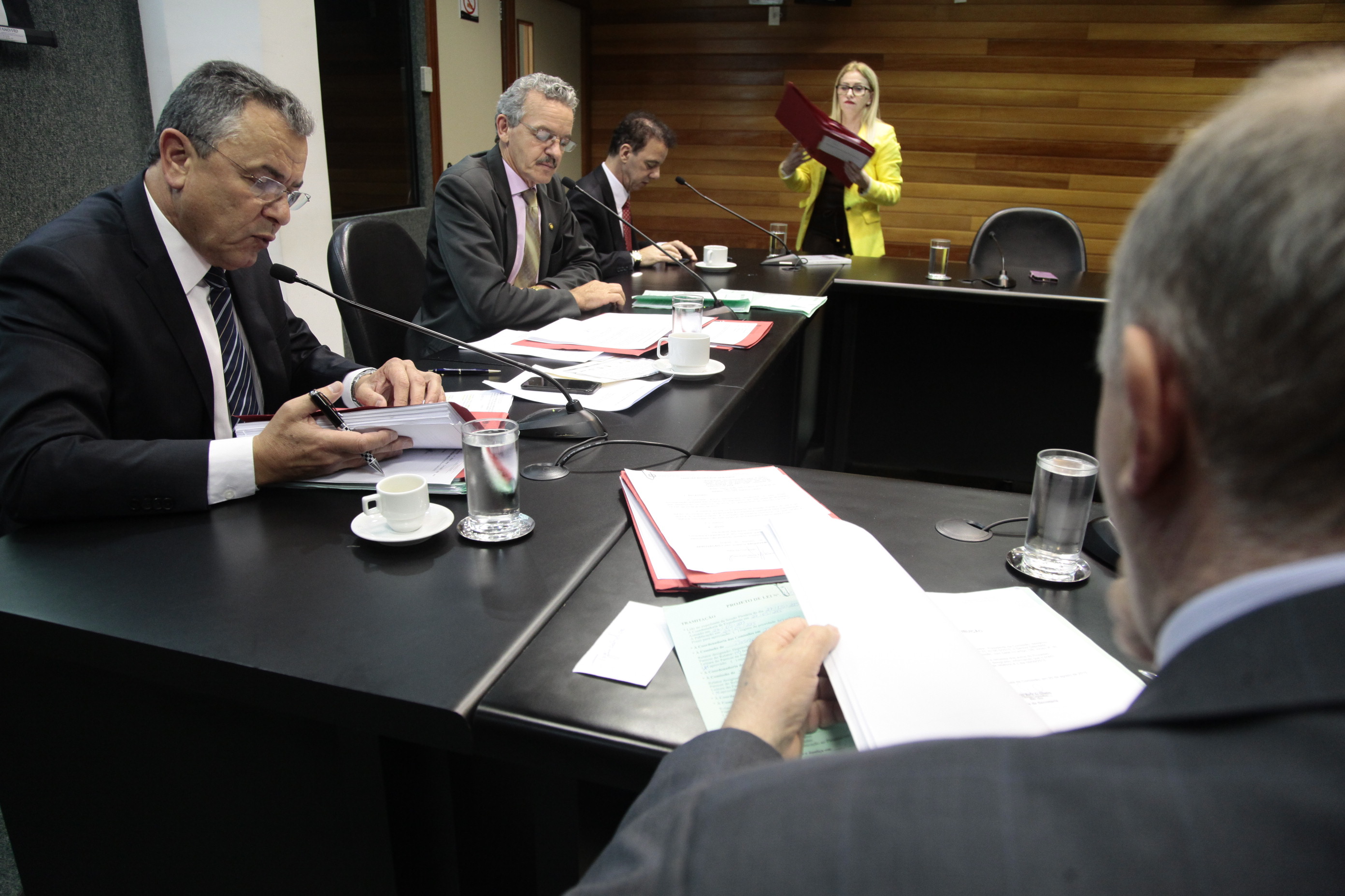 Reunião Ordinária da Comissão de Direitos Humanos. Foto: Miriam Zomer/Agência AL