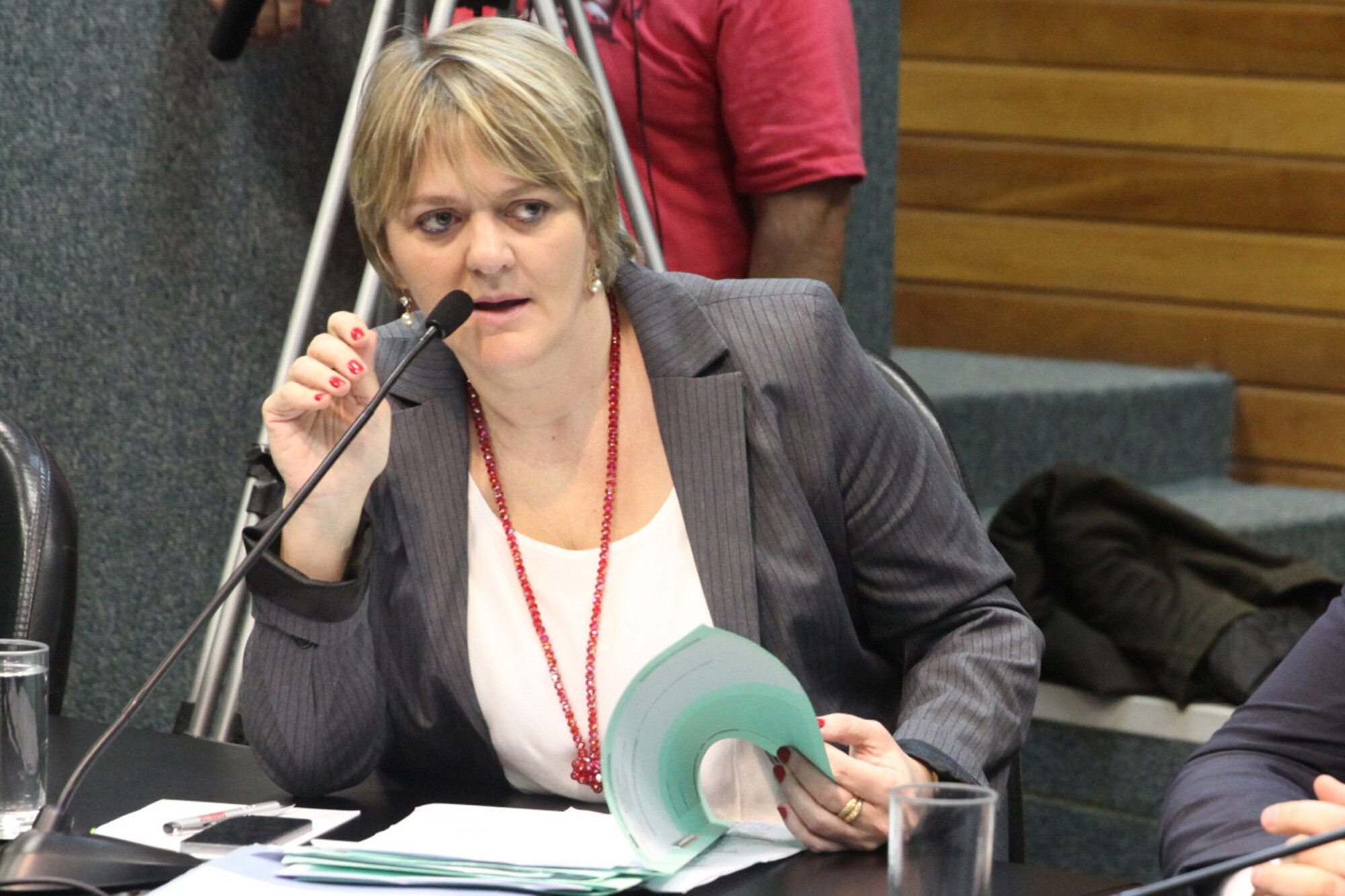 Deputada Luciane Carminatti