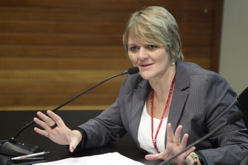 Deputada Luciane cobra autonomia dos parlamentares na votação do Plano Estadual de Educação