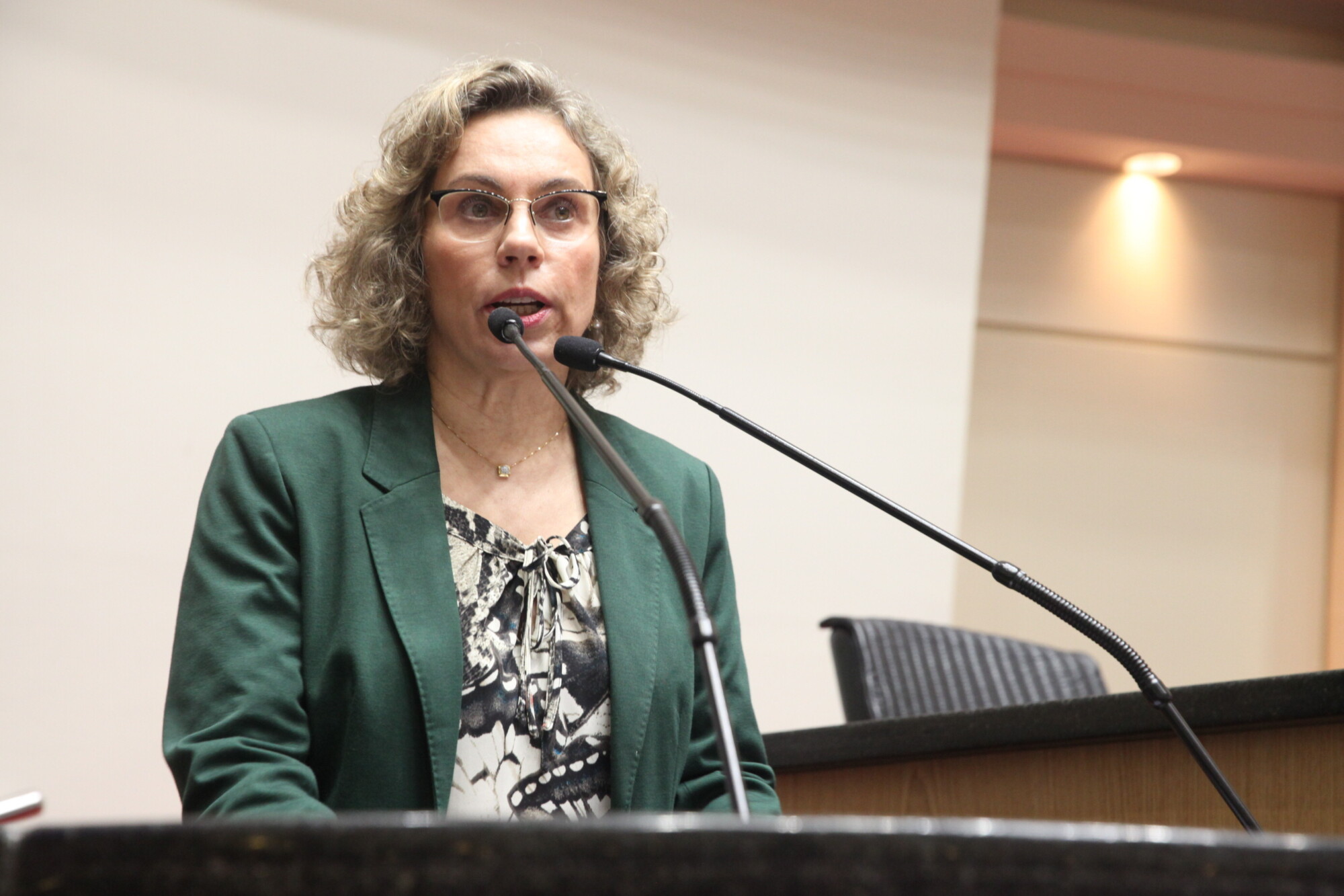 Deputada Ana Paula Lima