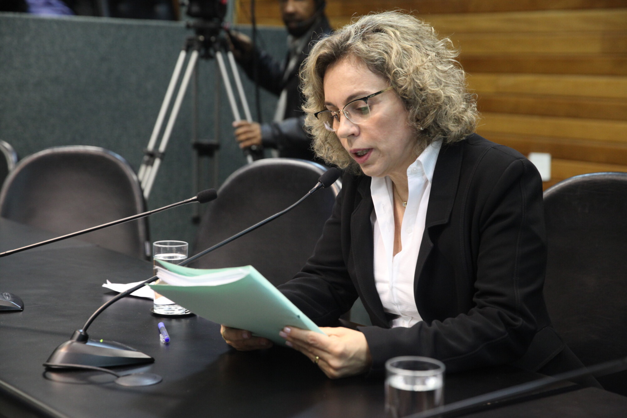 Deputada Ana Paula Lima