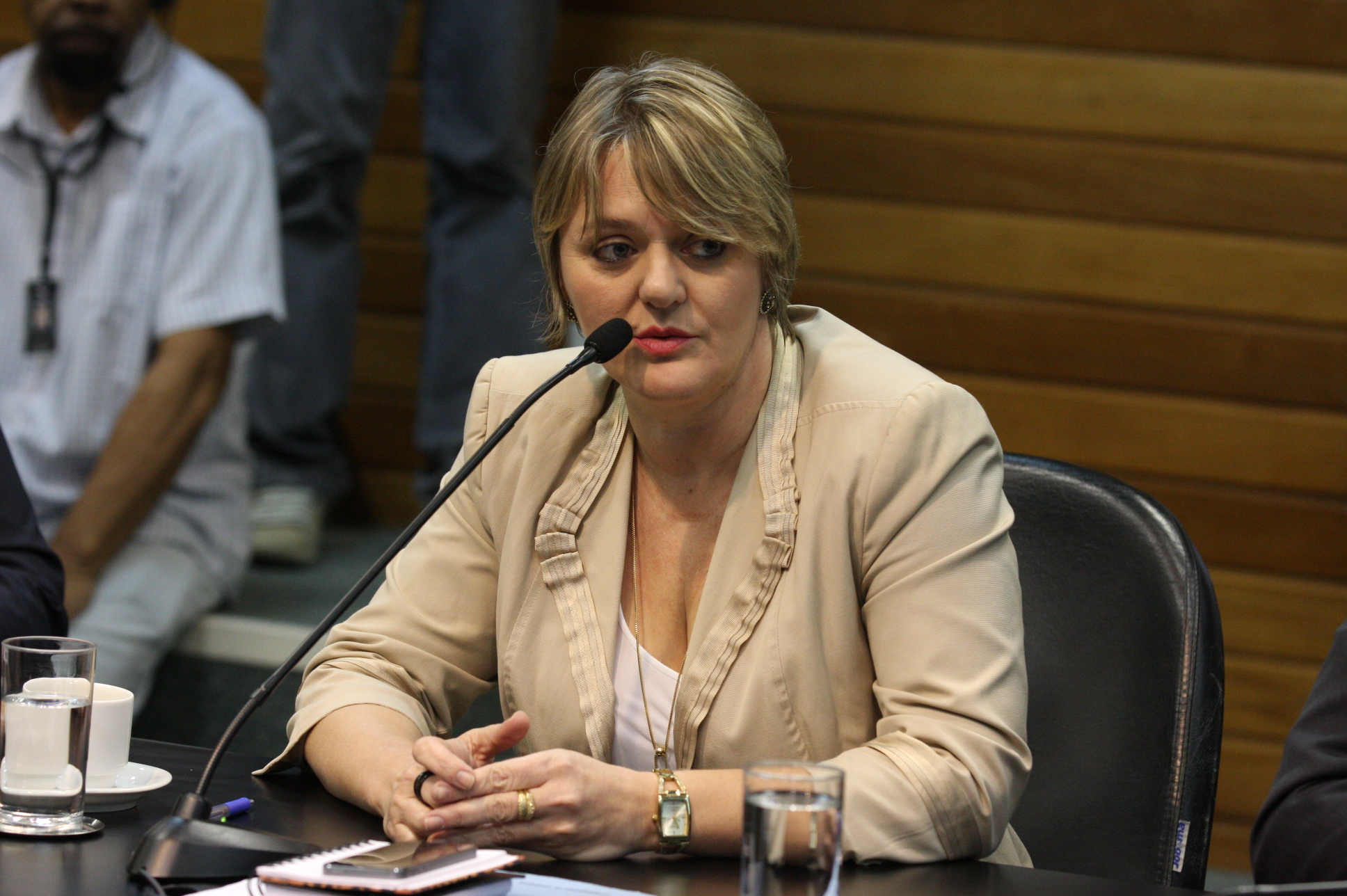 Comissão de Constituição e Justiça. Deputada Luciane Carminatti (PT). Foto: Yuri Santos / Agência AL