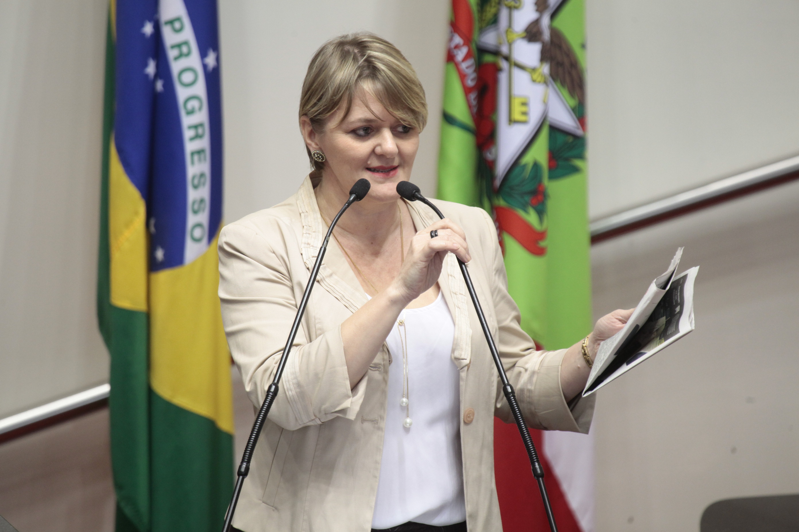 Sessão Ordinária da Assembleia Legislativa do Estado de Santa Catarina. Deputada Luciane Carminatti (PT) - Foto: Miriam Zomer/Agência AL