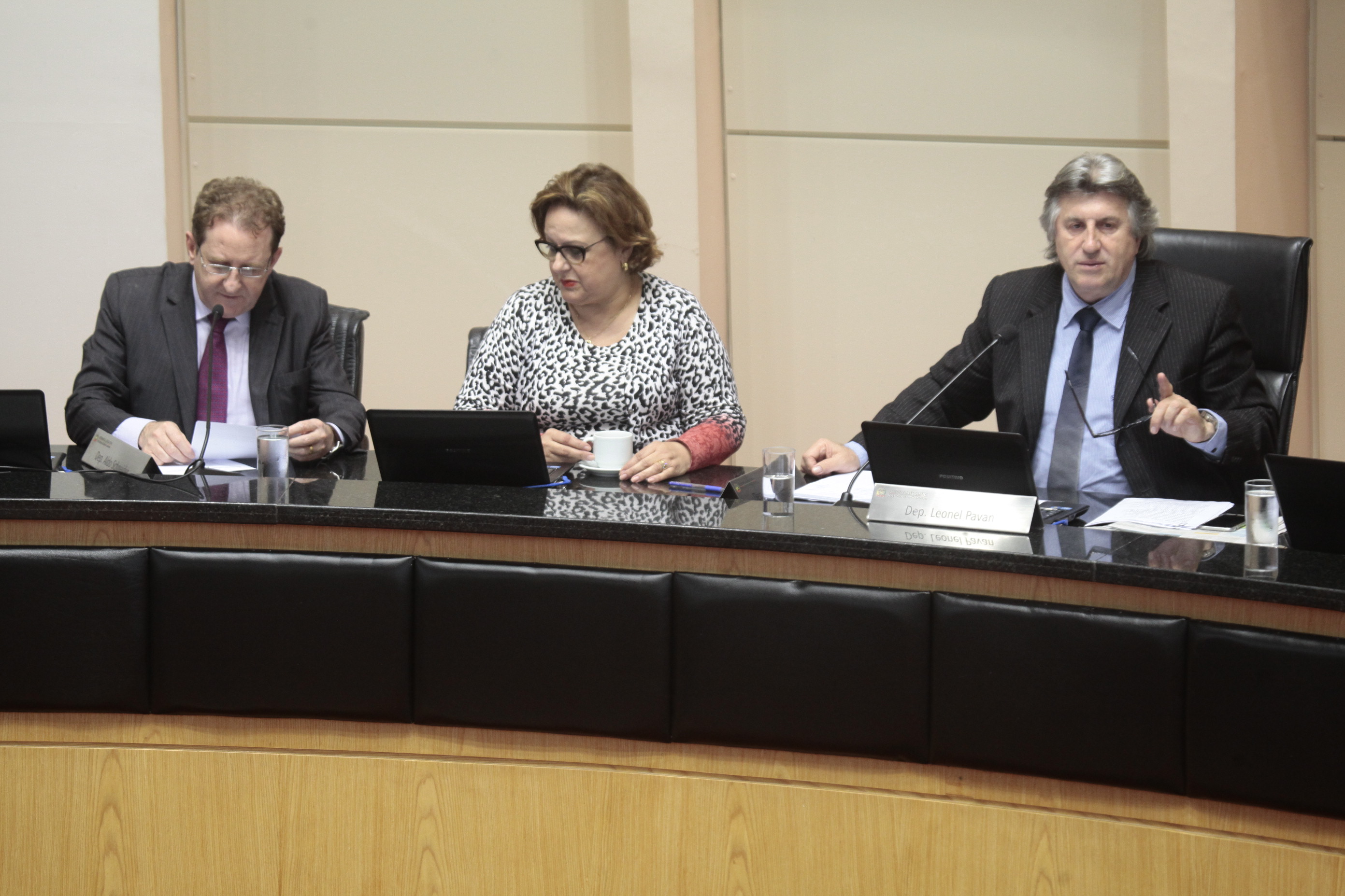 Sessão Ordinária da Assembleia Legislativa do Estado de Santa Catarina. Foto: Miriam Zomer/Agência AL