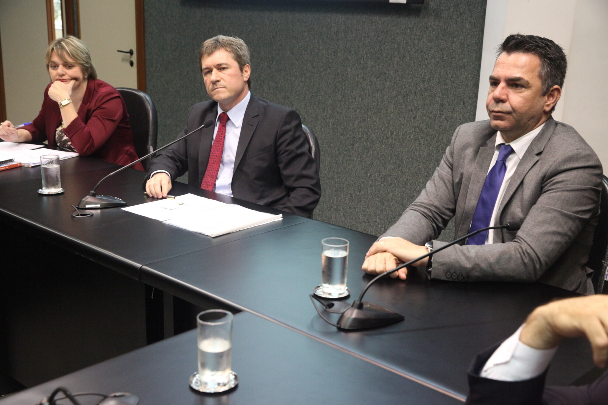 Deputada Luciane Carminatti e os deputados José Nei Ascari, presidente da comissão, e Luiz Fernando Vampiro