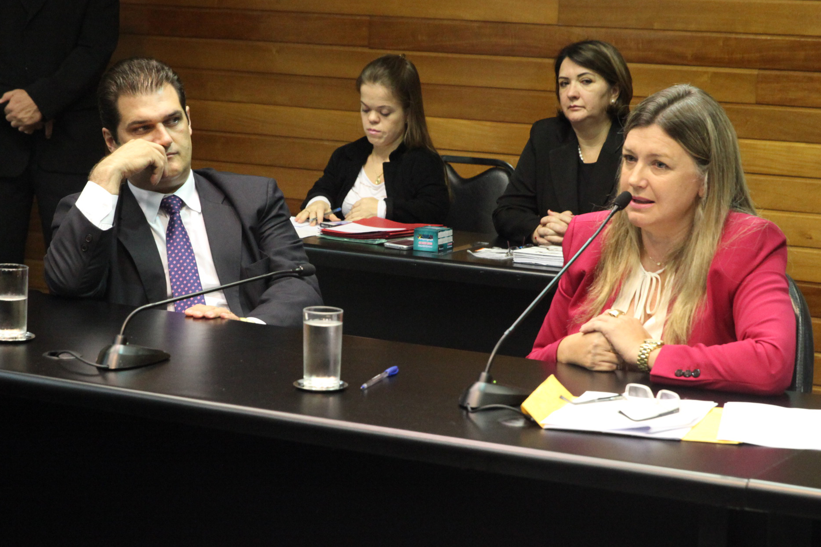Comissão de Defesa dos Direitos da Pessoa com Defiência. Foto: Fábio Queiroz / Agência AL