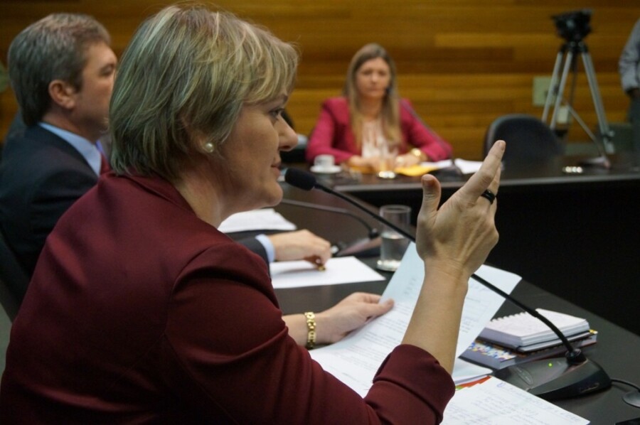 Deputada Luciane Carminatti
