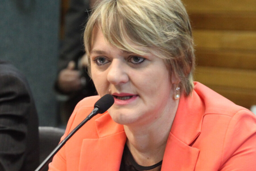 Deputada Luciane Carminatti