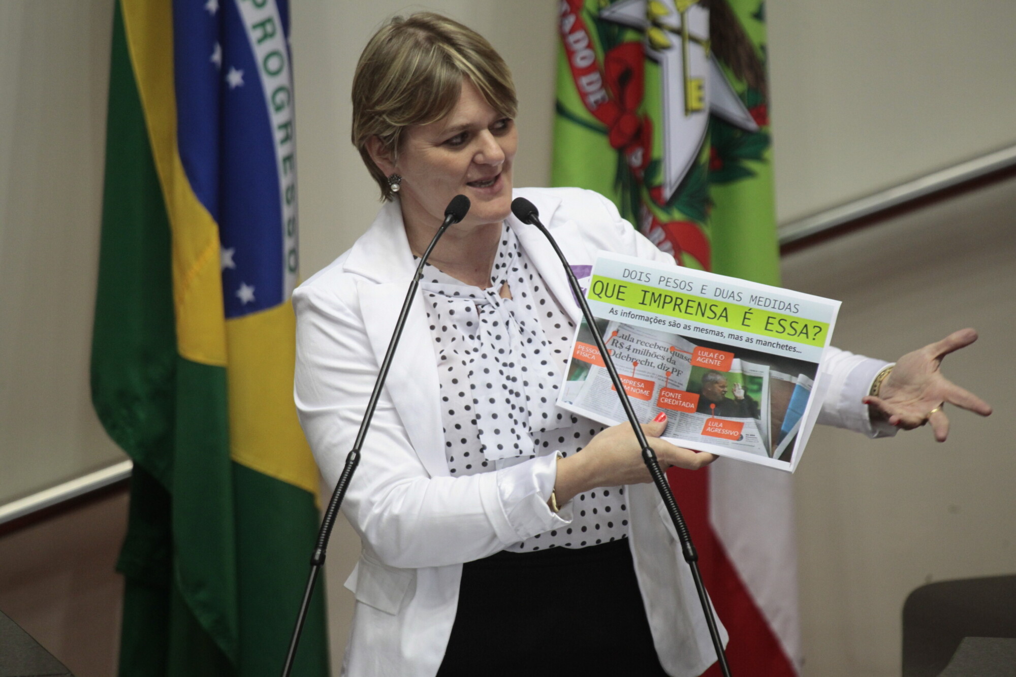 Deputada Luciane Carminatti