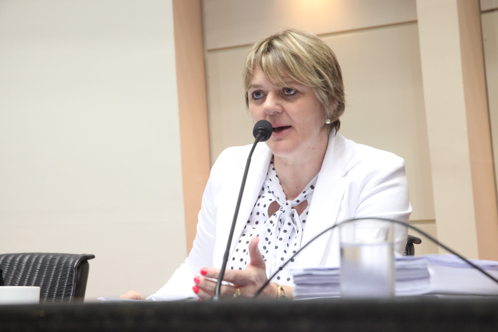 Deputada Luciane Carminatti