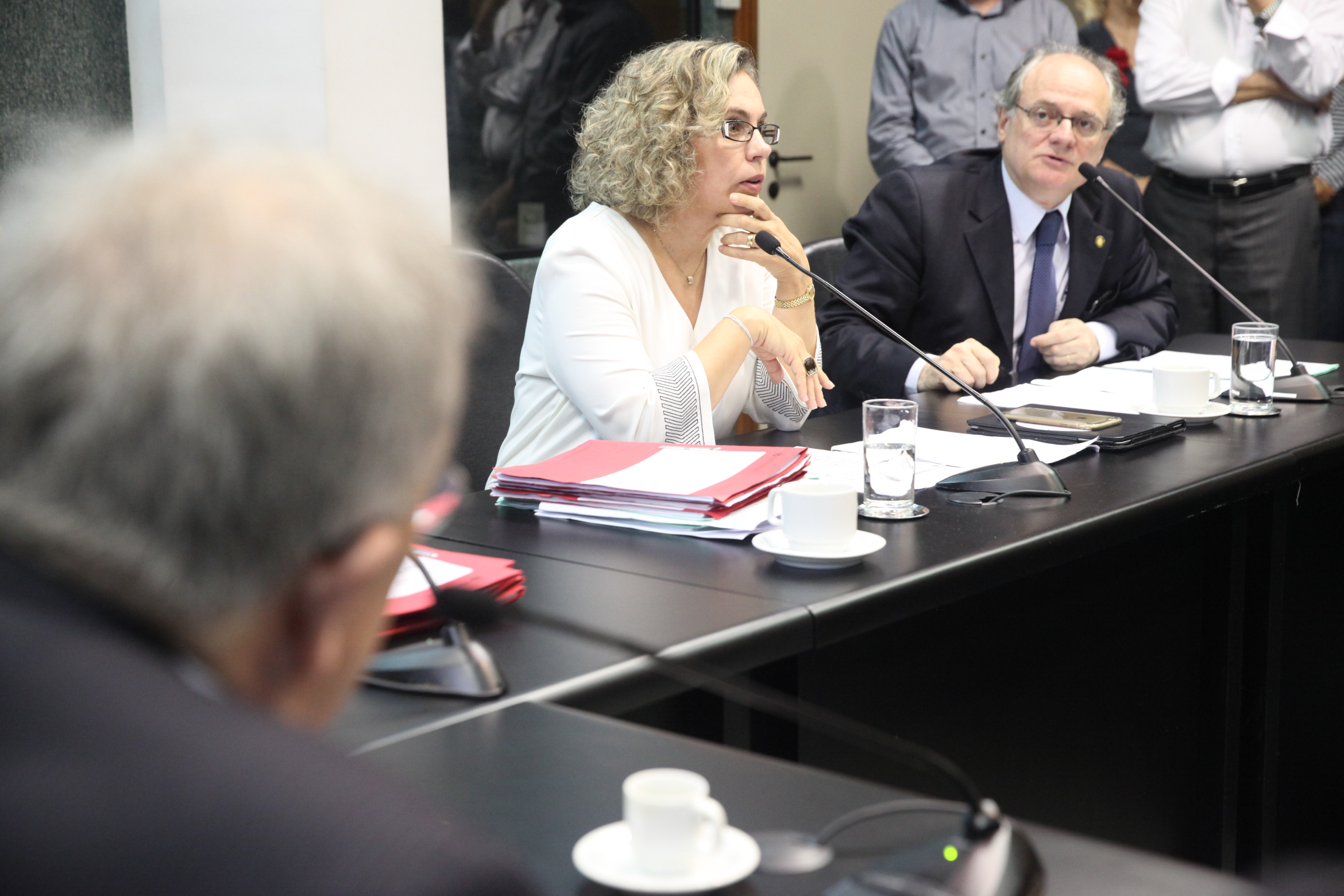 Reunião da Comissão de Saúde. Foto: Fábio Queiroz / Agência AL
