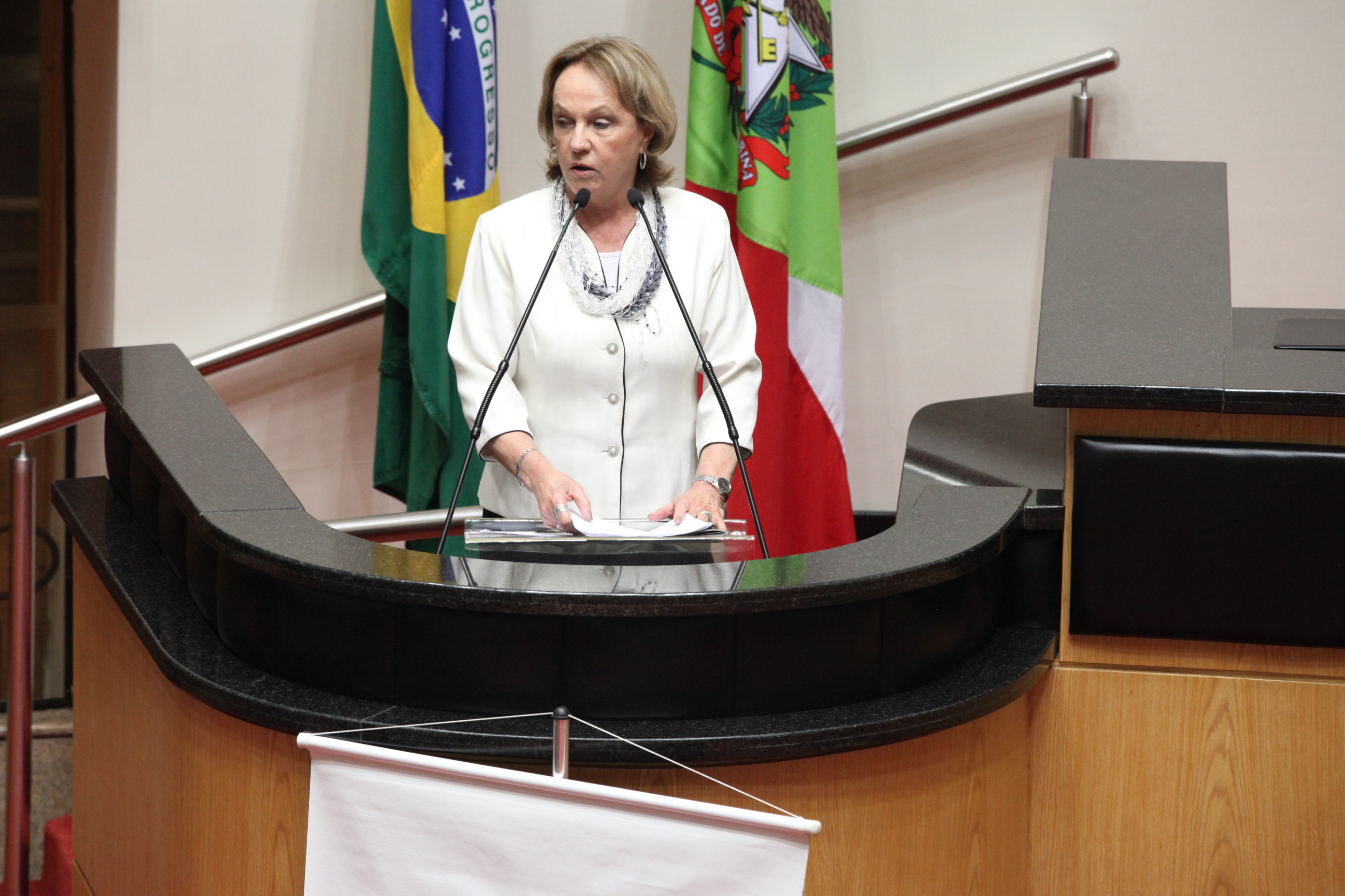 Anita Pires. Sessão Especial em homenagem aos 10 anos da Associação Floripamanhã. Foto: Fábio Queiroz / Agência AL