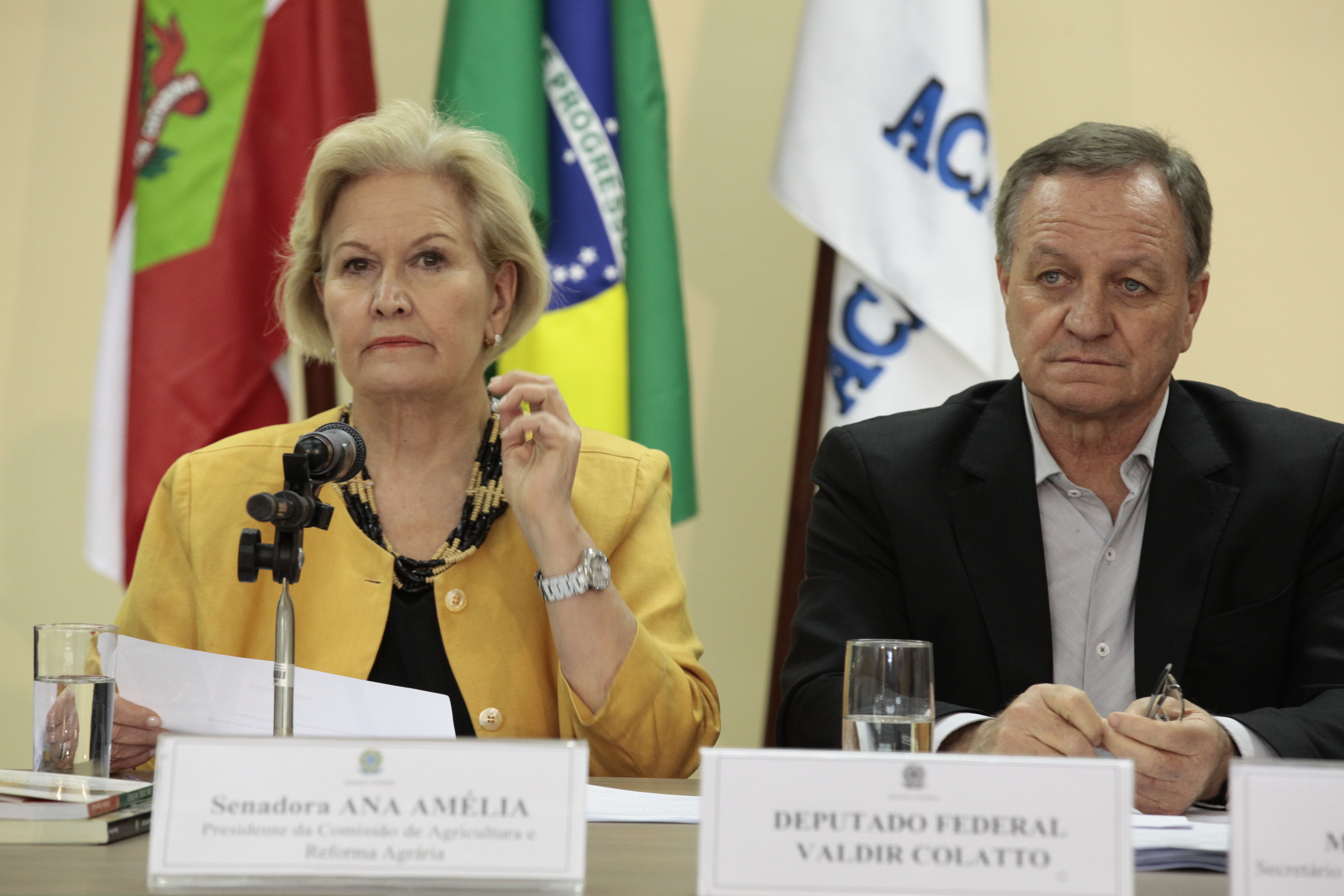 Ciclo de debates da Comissão de Agricultura e Reforma Agrária (CRA) do Senado Federal, realizado na cidade de Chapecó SC. Foto: Miriam Zomer/Agência AL