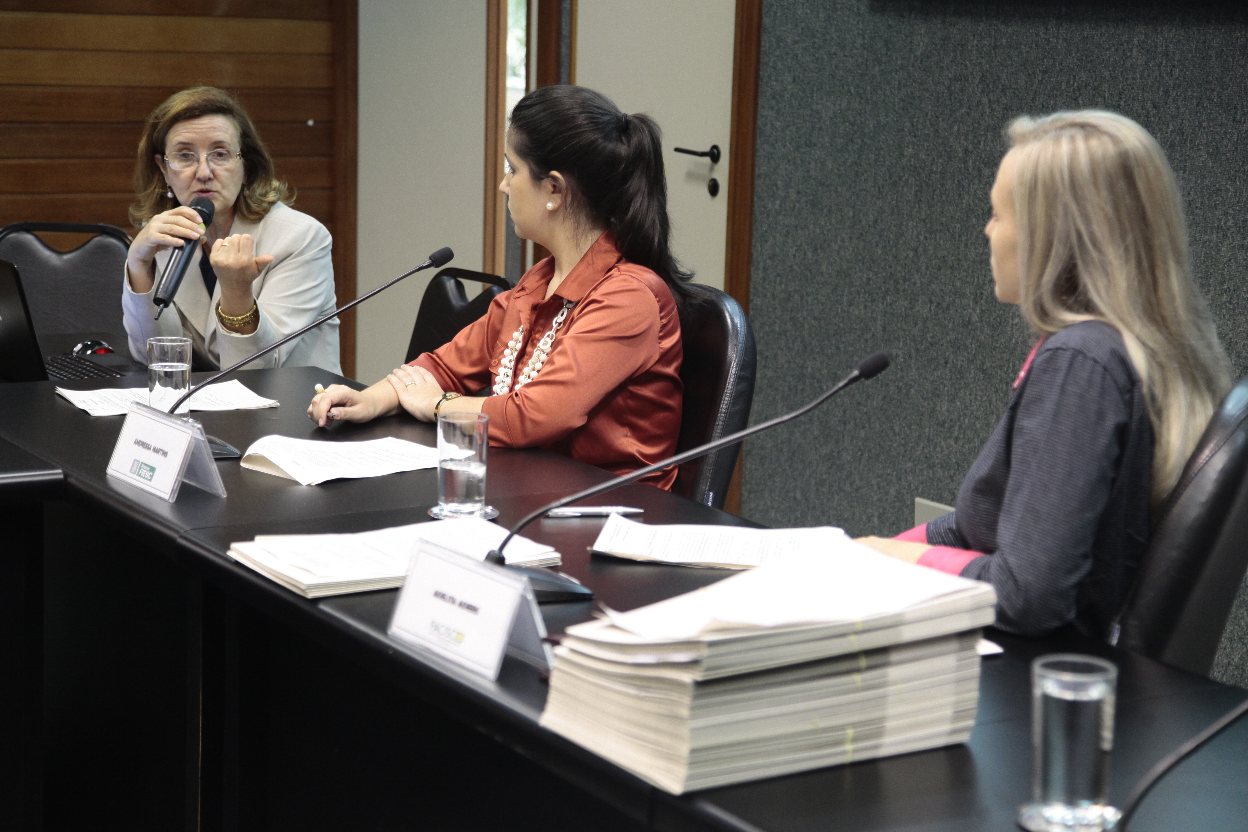 Reunião da Comissão Mista de Responsabilidade Social.