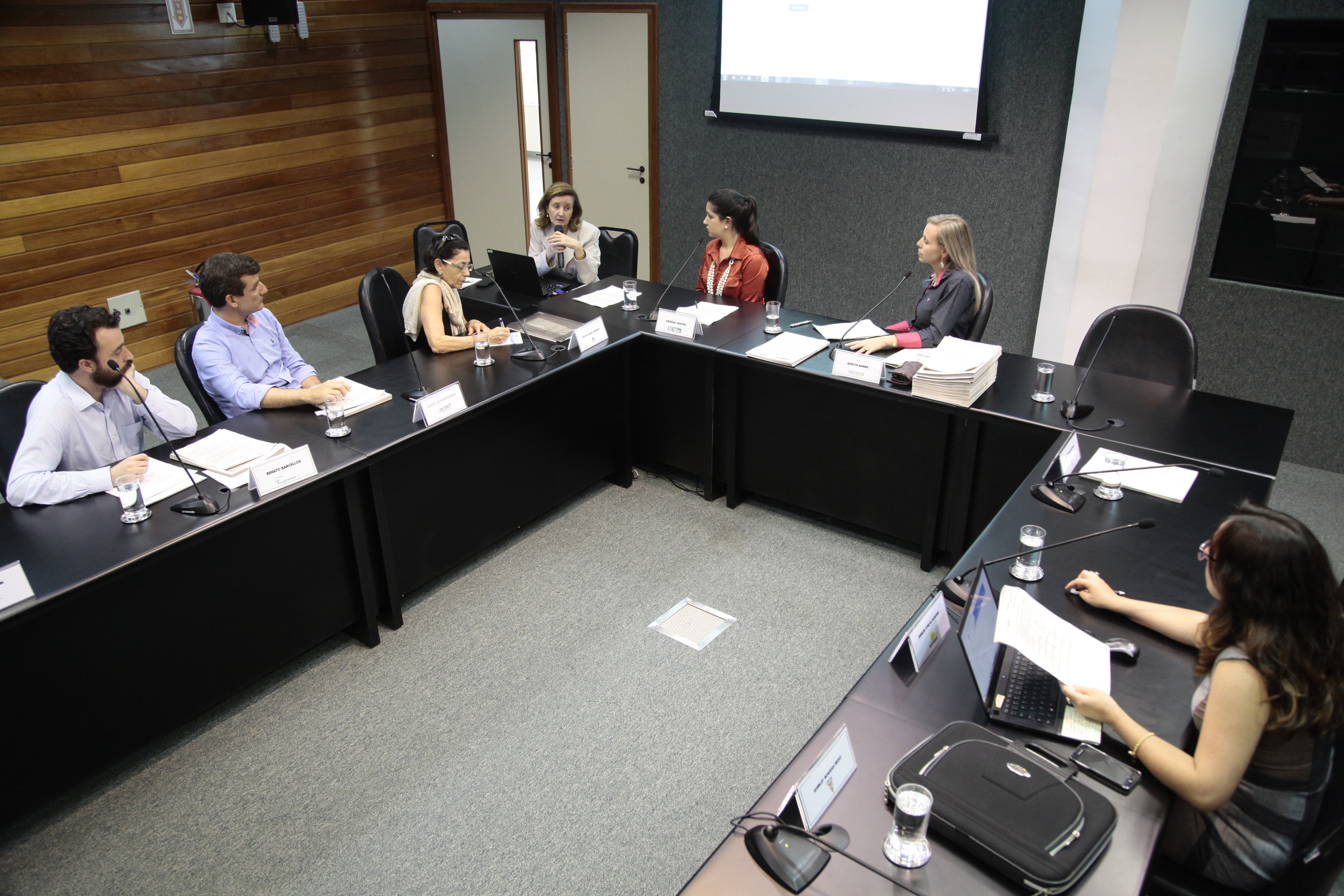 Reunião da Comissão Mista de Responsabilidade Social.