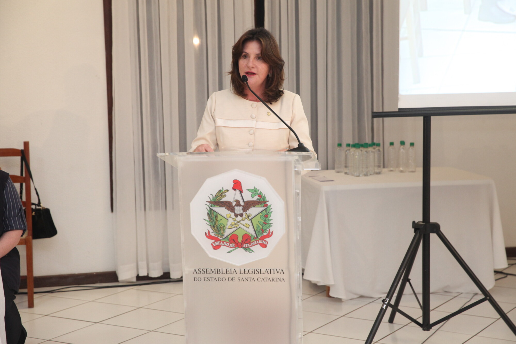 Deputada federal Carmen Zanotto